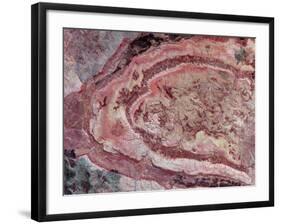 Spider Crater, Western Australia-Stocktrek Images-Framed Photographic Print