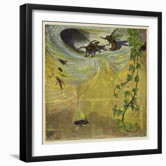 Spider, Fly and Bee-Ernest Henry Griset-Framed Giclee Print