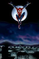 Spider-Girl No.69 Cover: Spider-Girl-Ron Frenz-Lamina Framed Poster