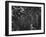 Spider in Its Web: Orb Weaver's Web, Measuring 3 Feet Across-Andreas Feininger-Framed Photographic Print