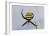 Spider in Web, Baliem Valley, Indonesia-Reinhard Dirscherl-Framed Photographic Print