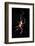 Spider, Kirindy Forest Reserve, Madagascar-Paul Souders-Framed Photographic Print