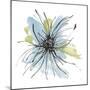 Spider Mum Blue II-Chris Paschke-Mounted Art Print