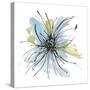 Spider Mum Blue II-Chris Paschke-Stretched Canvas