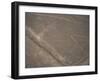 Spider, Nazca (Nasca) Lines, Unesco World Heritage Site, Peru, South America-Jane Sweeney-Framed Photographic Print