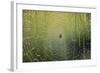 Spider on Wet Web-Peter Skinner-Framed Photographic Print