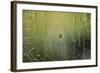 Spider on Wet Web-Peter Skinner-Framed Photographic Print
