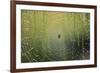 Spider on Wet Web-Peter Skinner-Framed Photographic Print