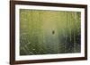 Spider on Wet Web-Peter Skinner-Framed Photographic Print