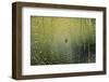 Spider on Wet Web-Peter Skinner-Framed Photographic Print