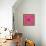 Spider, Pink Crab Spider-Belen Mena-Framed Stretched Canvas displayed on a wall