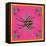 Spider, Pink Crab Spider-Belen Mena-Framed Stretched Canvas