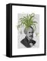 Spider Plant Head-Fab Funky-Framed Stretched Canvas