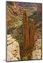 Spider Rock, Canyon de Chelly, Chinle, Arizona, USA-Michel Hersen-Mounted Photographic Print