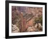 Spider Rock-Don Paulson-Framed Giclee Print