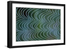 Spider's Web Vibrating in Breeze-null-Framed Photographic Print