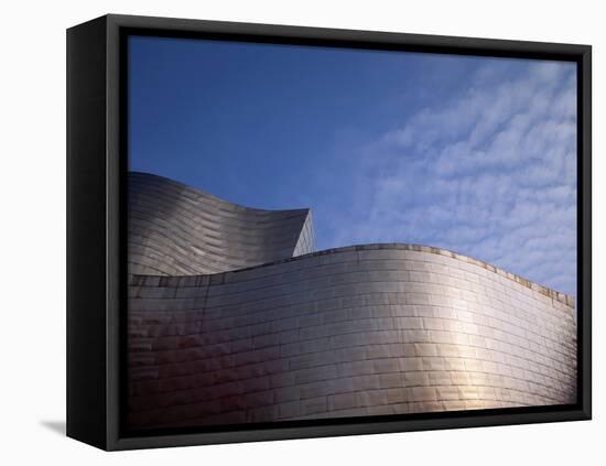 Spider Sculpture, the Guggenheim Museum, Bilbao, Spain-Walter Bibikow-Framed Stretched Canvas