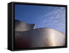 Spider Sculpture, the Guggenheim Museum, Bilbao, Spain-Walter Bibikow-Framed Stretched Canvas