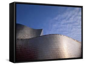 Spider Sculpture, the Guggenheim Museum, Bilbao, Spain-Walter Bibikow-Framed Stretched Canvas