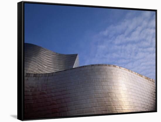 Spider Sculpture, the Guggenheim Museum, Bilbao, Spain-Walter Bibikow-Framed Stretched Canvas