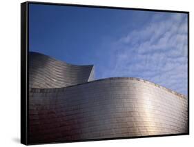 Spider Sculpture, the Guggenheim Museum, Bilbao, Spain-Walter Bibikow-Framed Stretched Canvas