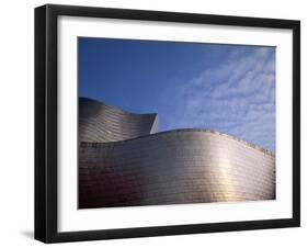 Spider Sculpture, the Guggenheim Museum, Bilbao, Spain-Walter Bibikow-Framed Premium Photographic Print