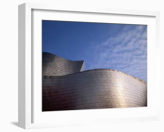 Spider Sculpture, the Guggenheim Museum, Bilbao, Spain-Walter Bibikow-Framed Photographic Print