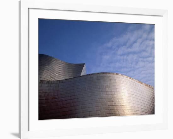 Spider Sculpture, the Guggenheim Museum, Bilbao, Spain-Walter Bibikow-Framed Photographic Print