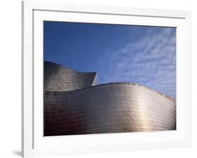 Spider Sculpture, the Guggenheim Museum, Bilbao, Spain-Walter Bibikow-Framed Photographic Print