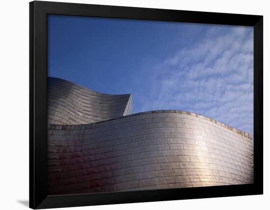 Spider Sculpture, the Guggenheim Museum, Bilbao, Spain-Walter Bibikow-Framed Photographic Print