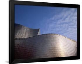 Spider Sculpture, the Guggenheim Museum, Bilbao, Spain-Walter Bibikow-Framed Photographic Print