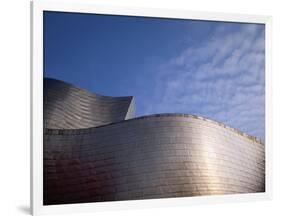 Spider Sculpture, the Guggenheim Museum, Bilbao, Spain-Walter Bibikow-Framed Photographic Print