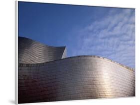 Spider Sculpture, the Guggenheim Museum, Bilbao, Spain-Walter Bibikow-Framed Photographic Print