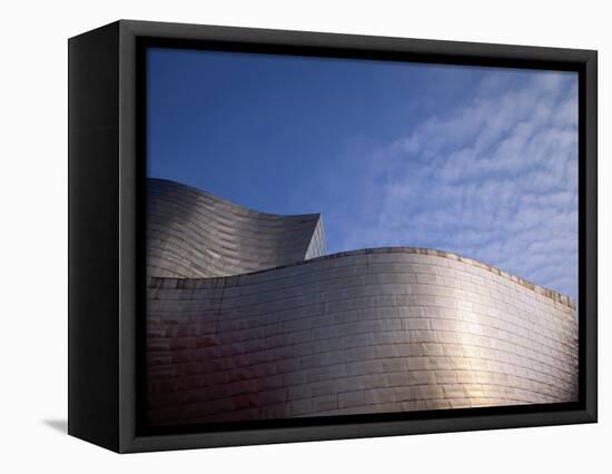 Spider Sculpture, the Guggenheim Museum, Bilbao, Spain-Walter Bibikow-Framed Stretched Canvas