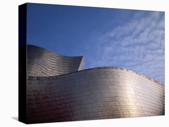 Spider Sculpture, the Guggenheim Museum, Bilbao, Spain-Walter Bibikow-Stretched Canvas