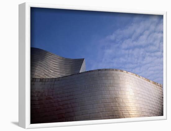 Spider Sculpture, the Guggenheim Museum, Bilbao, Spain-Walter Bibikow-Framed Photographic Print