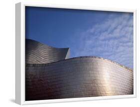 Spider Sculpture, the Guggenheim Museum, Bilbao, Spain-Walter Bibikow-Framed Photographic Print