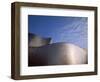 Spider Sculpture, the Guggenheim Museum, Bilbao, Spain-Walter Bibikow-Framed Photographic Print