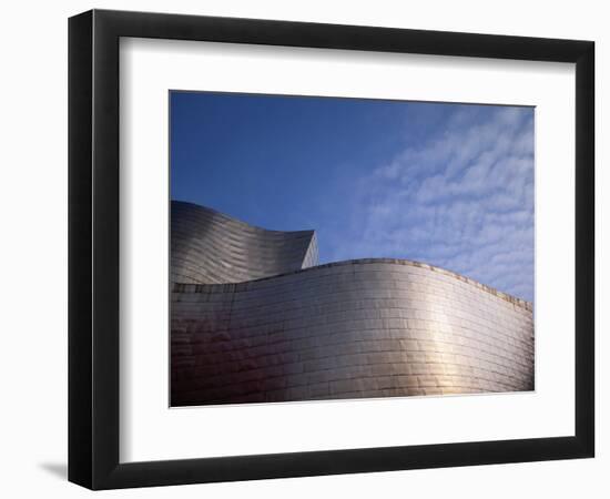 Spider Sculpture, the Guggenheim Museum, Bilbao, Spain-Walter Bibikow-Framed Photographic Print