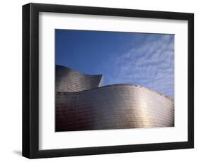 Spider Sculpture, the Guggenheim Museum, Bilbao, Spain-Walter Bibikow-Framed Photographic Print