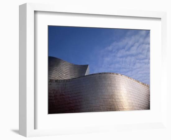 Spider Sculpture, the Guggenheim Museum, Bilbao, Spain-Walter Bibikow-Framed Photographic Print