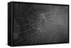 Spider Web b/w-null-Framed Stretched Canvas