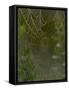 Spider Web in Dew-Lynn M^ Stone-Framed Stretched Canvas
