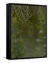 Spider Web in Dew-Lynn M^ Stone-Framed Stretched Canvas