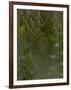 Spider Web in Dew-Lynn M^ Stone-Framed Photographic Print