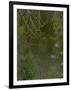 Spider Web in Dew-Lynn M^ Stone-Framed Photographic Print