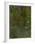 Spider Web in Dew-Lynn M^ Stone-Framed Photographic Print