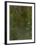 Spider Web in Dew-Lynn M^ Stone-Framed Photographic Print