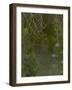 Spider Web in Dew-Lynn M^ Stone-Framed Photographic Print