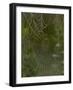 Spider Web in Dew-Lynn M^ Stone-Framed Photographic Print